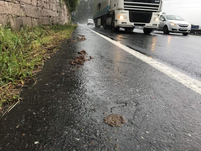 day8 Redondela to Pontevedra. Horse shit. Rain. Highway